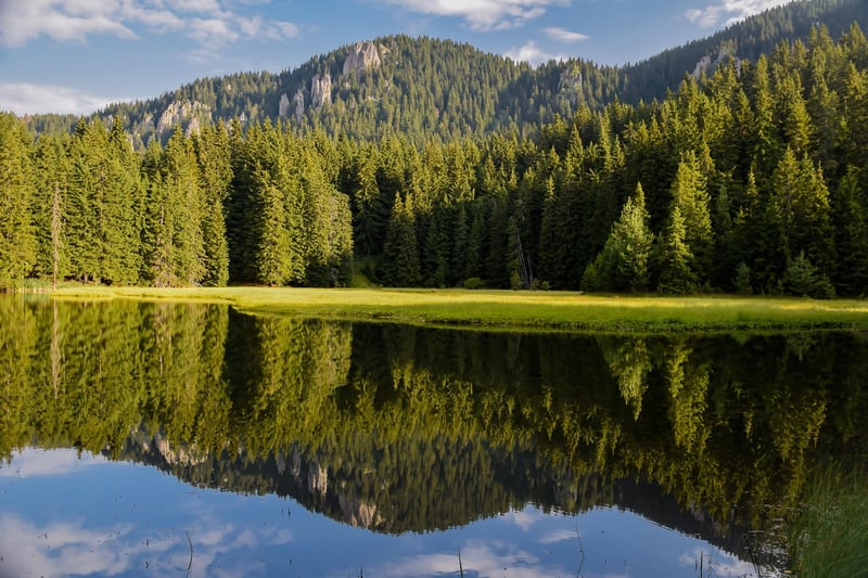 Mountain Landscape